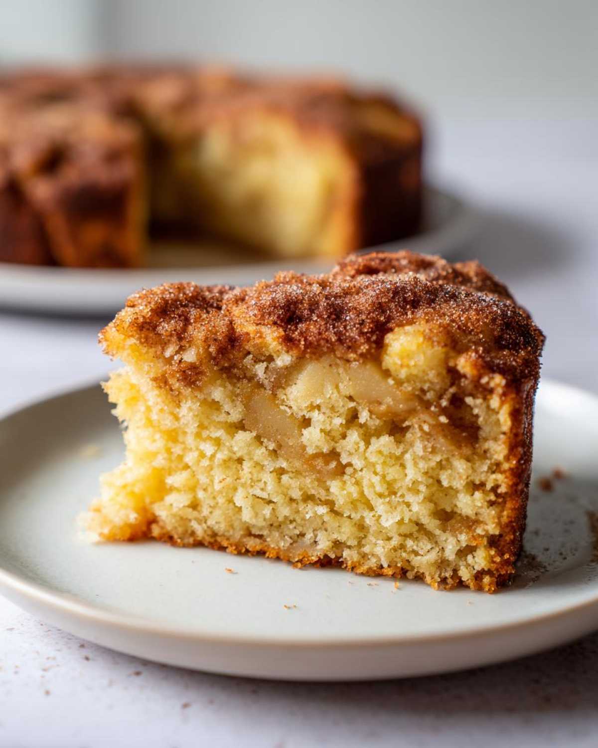 A close-up of a moist slice of Jewish apple cake showing tender crumb and chunks of apple, topped with cinnamon sugar.