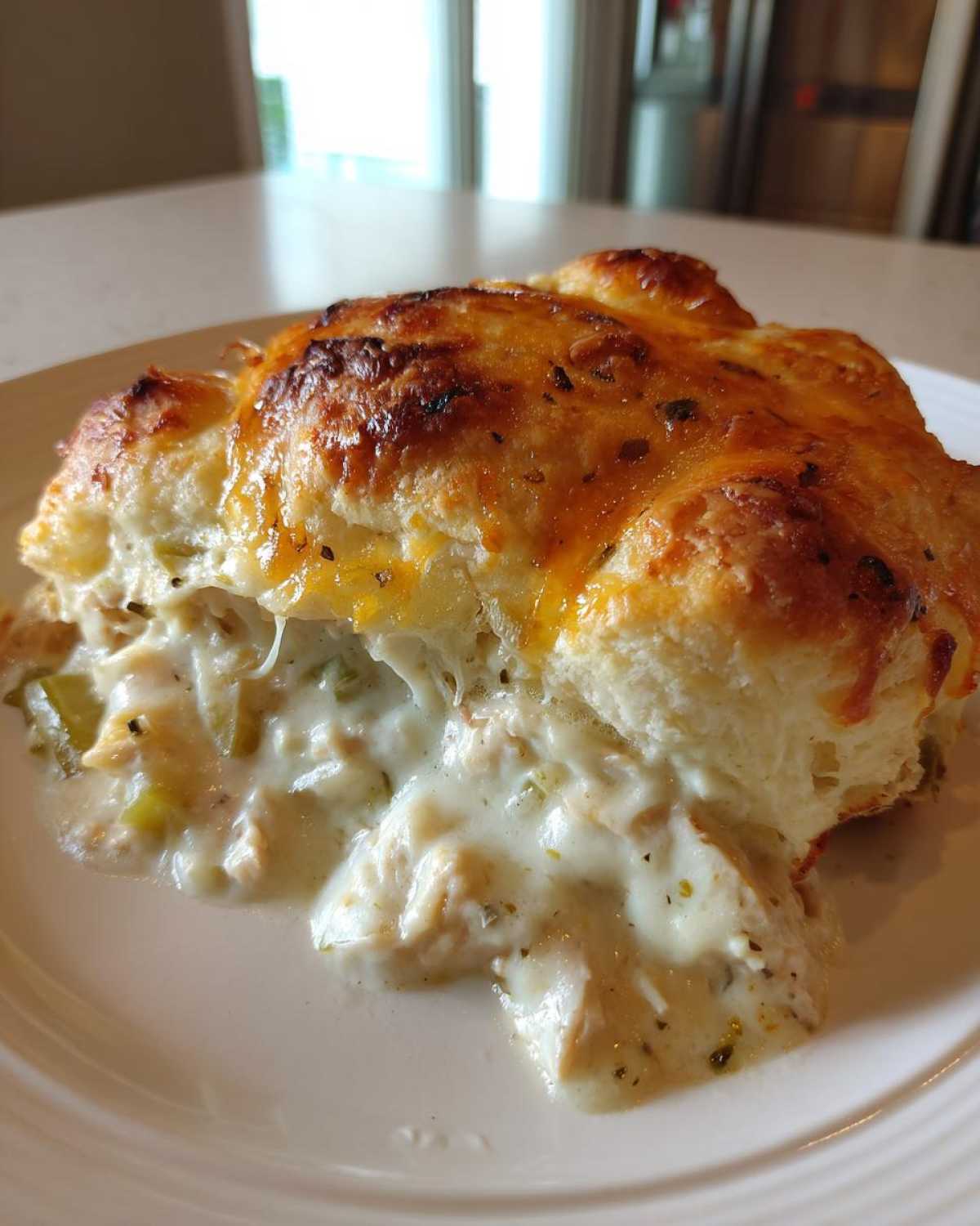 A close-up serving of creamy chicken cobbler showing shredded chicken in a white sauce under a golden, cheesy biscuit topping.