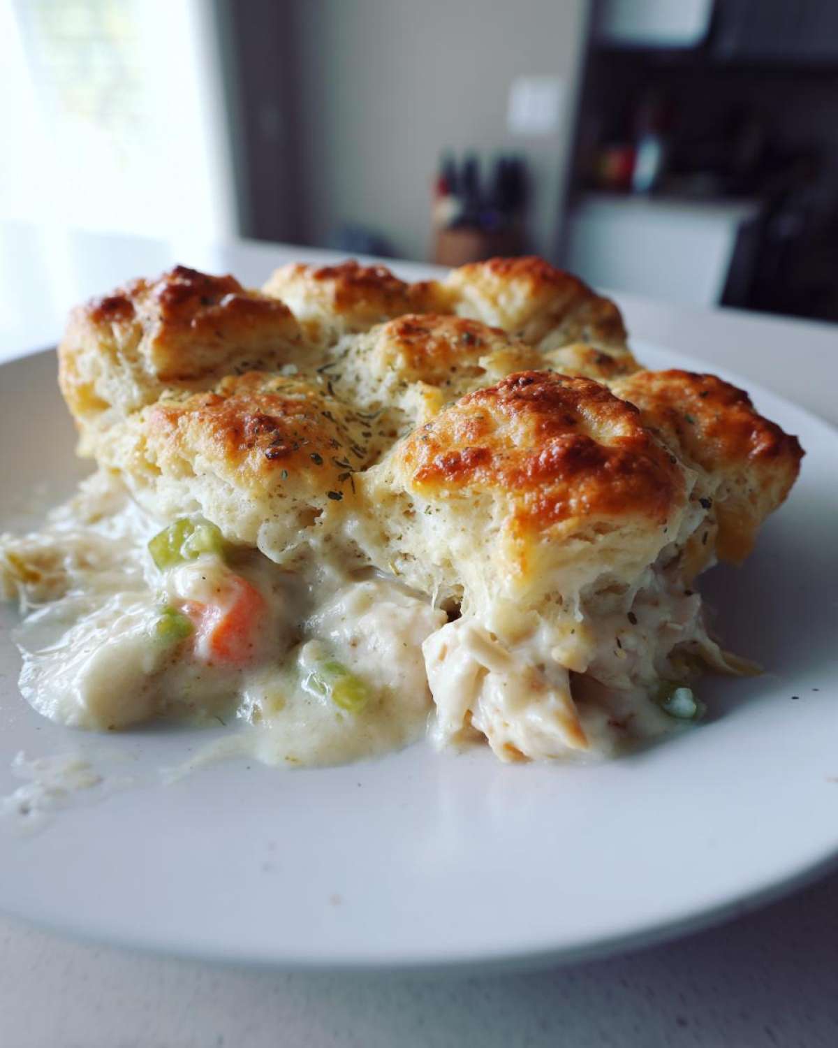 A close-up of a serving of creamy chicken cobbler with shredded chicken, carrots, and celery topped with golden, herbed biscuits.