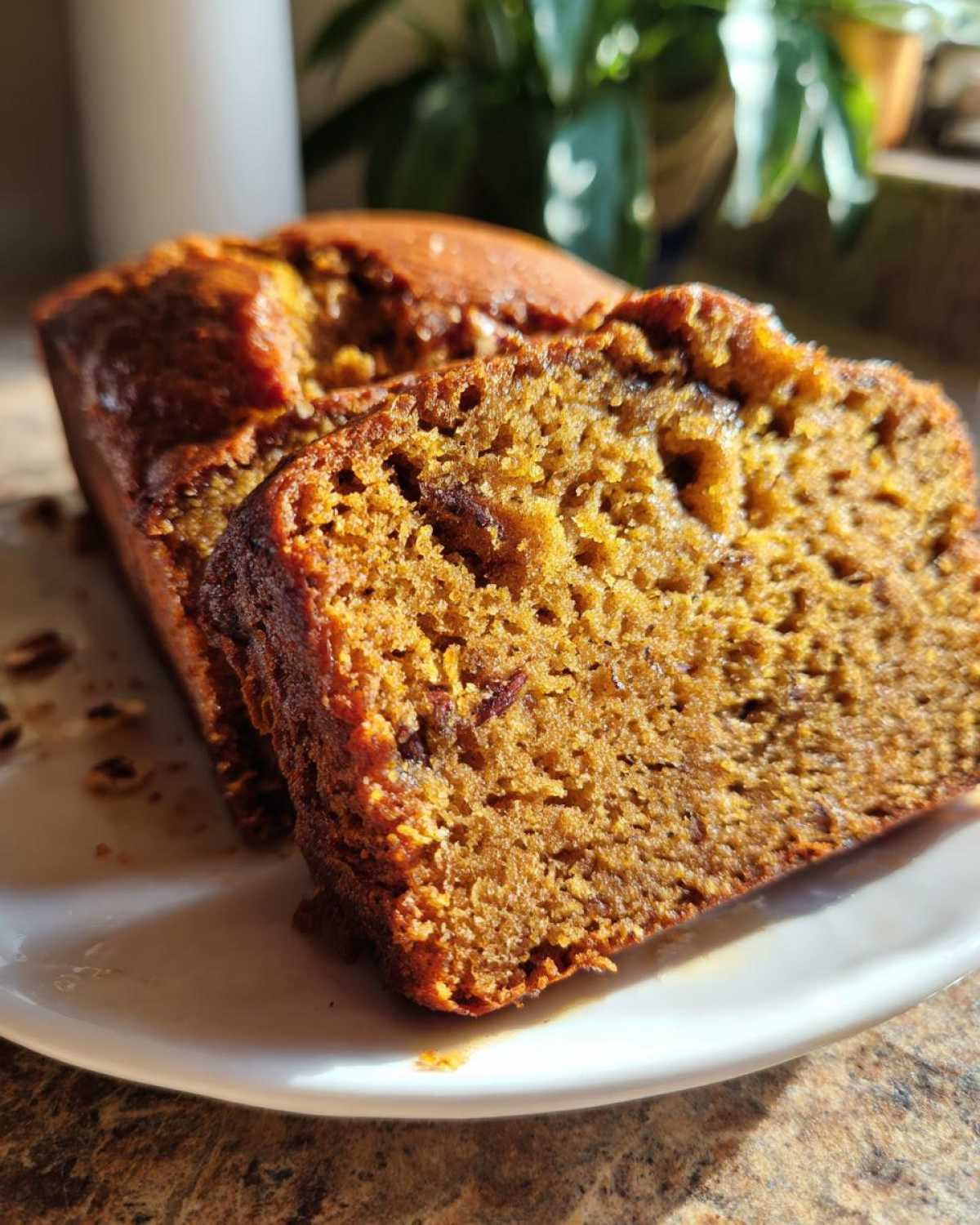 Close-up of a thick, moist slice of homemade pumpkin bread showing its rich texture and dark crust.