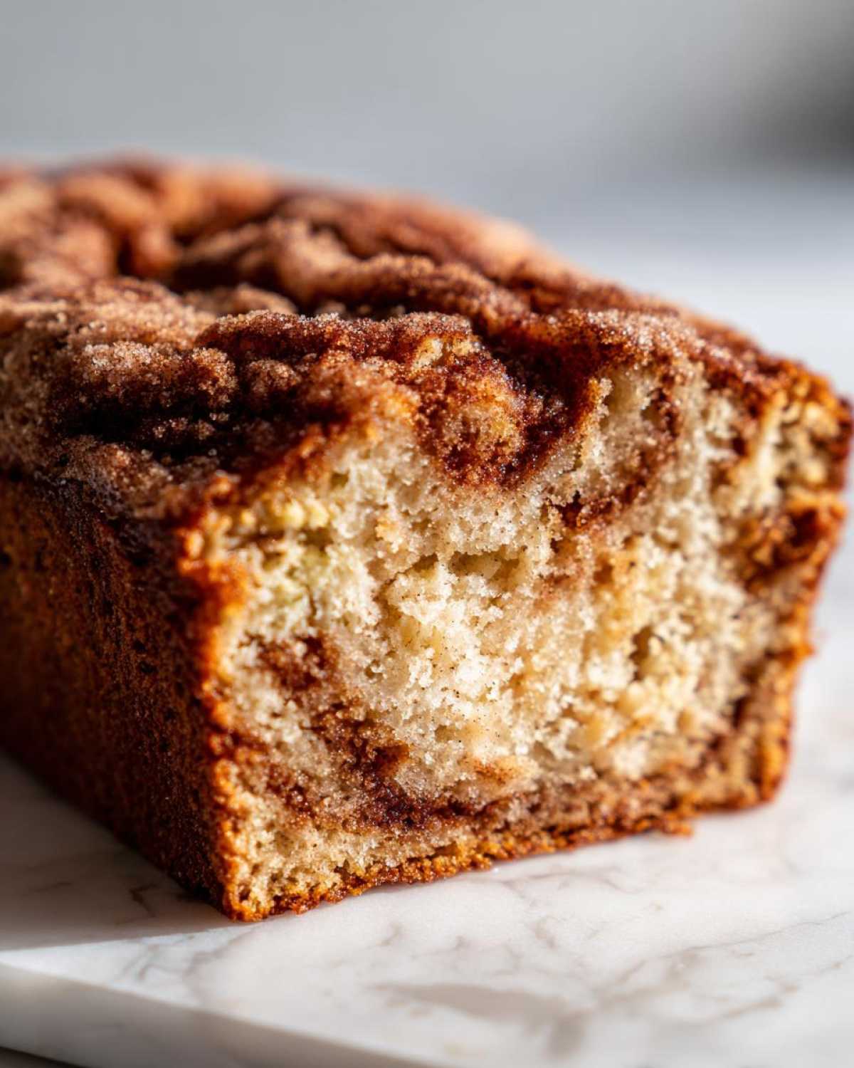 Close-up of a slice of snickerdoodle zucchini bread showing the moist crumb and cinnamon swirl topping.
