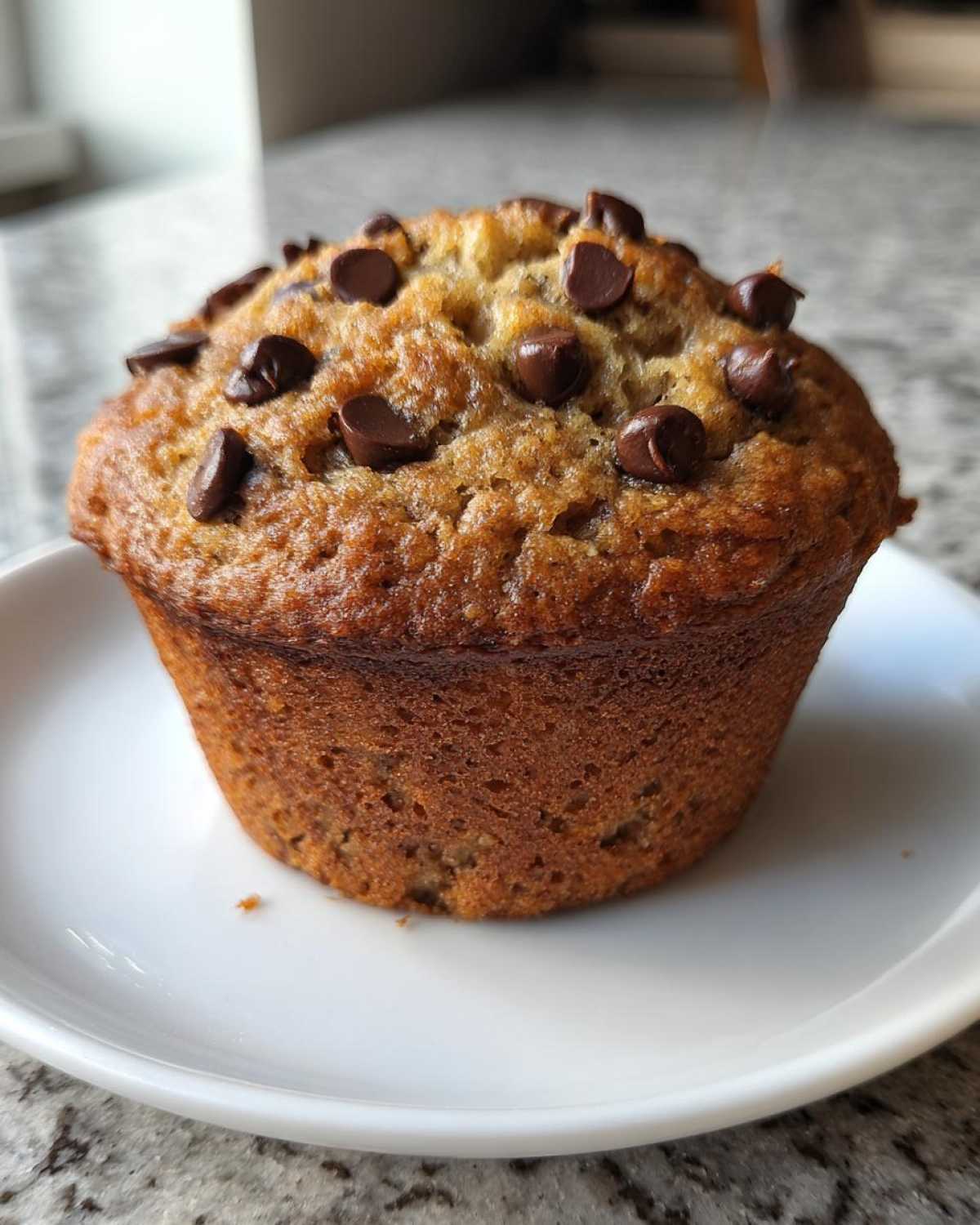 A freshly baked, golden brown Chocolate Chip Banana Muffins topped with melted chocolate chips on a white plate.