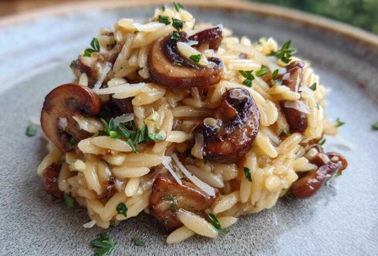 Close-up of a serving of One-Pot Creamy Mushroom Orzo, topped with sautéed mushrooms and fresh herbs.