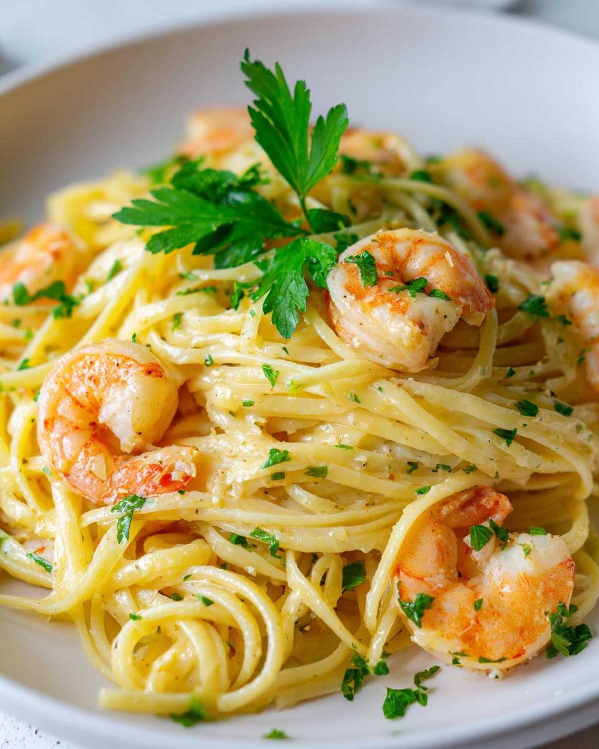 A close-up of a serving of Creamy Lemon Shrimp Pasta with Garlic Sauce, topped with pink shrimp and fresh parsley.