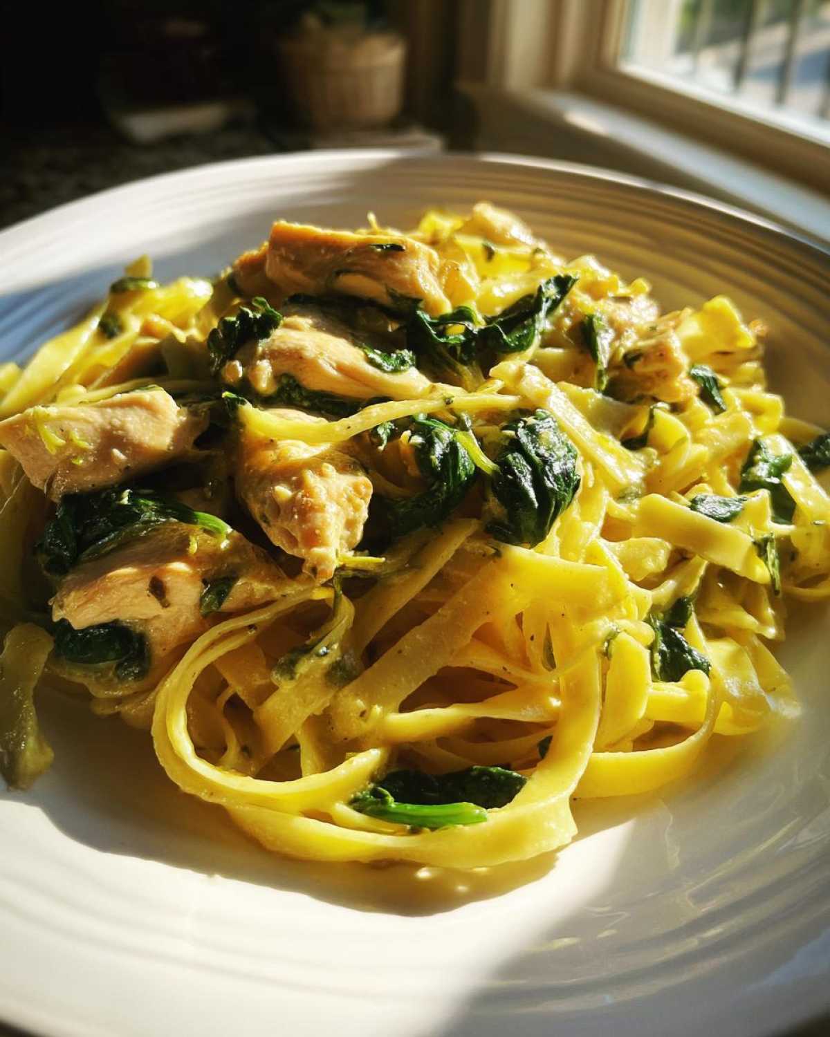 Close-up of a white bowl filled with creamy Garlic Butter Pasta with Chicken and Spinach, highlighted by sunlight.