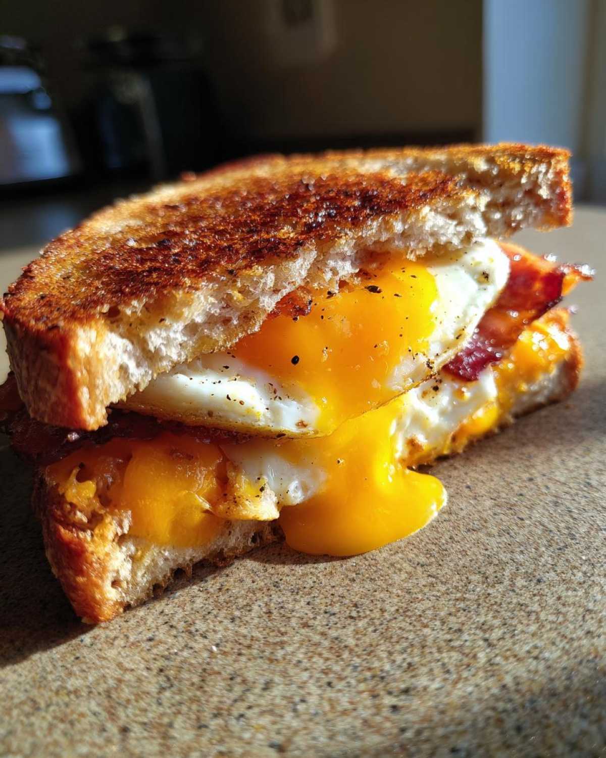 Close-up of a Bacon Cheddar & Fried Egg Sandwich showing melted cheese and a runny yolk spilling out.